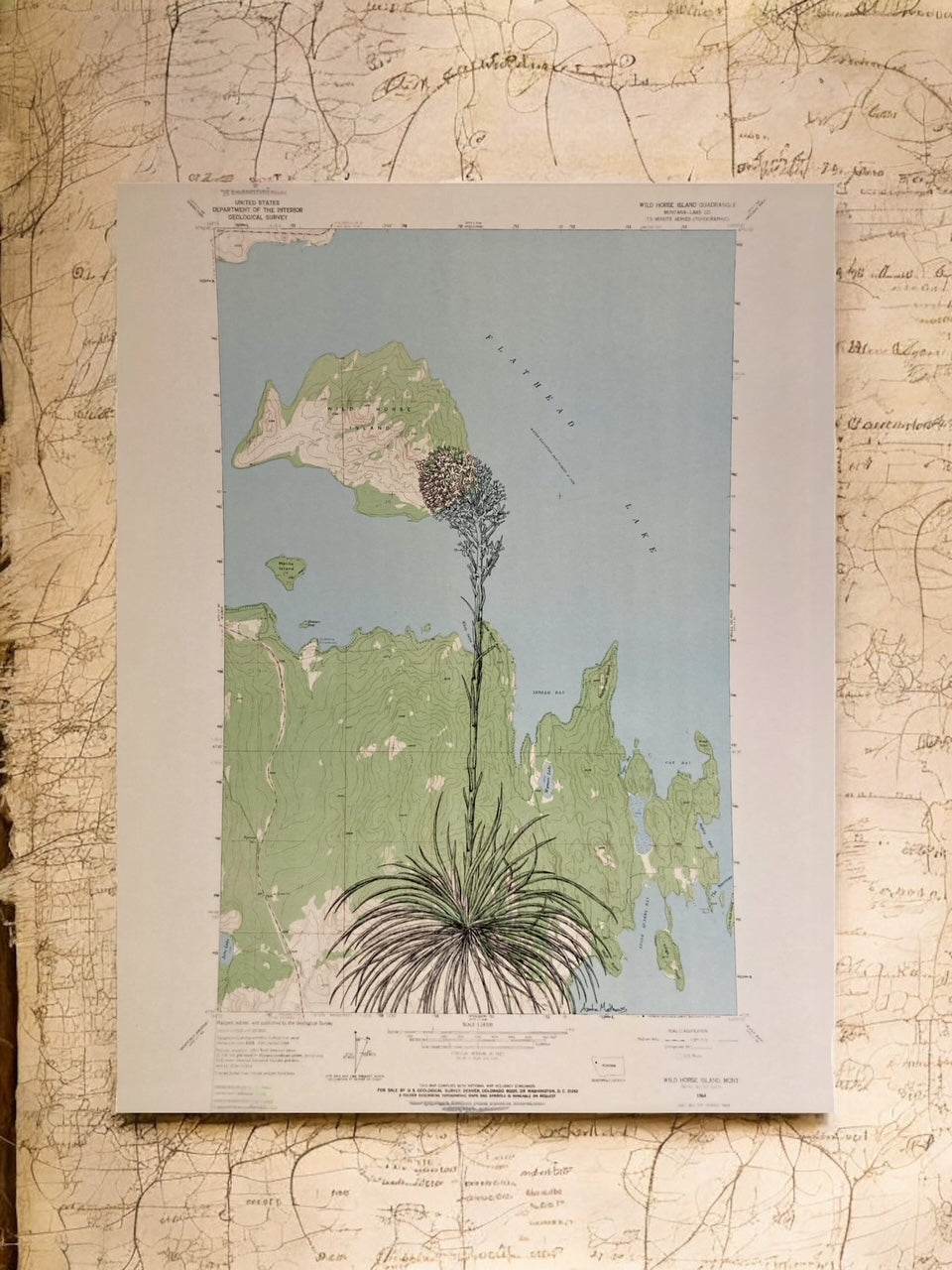 "Beargrass on Flathead Lake"  11x14 Print, Anita Mathews