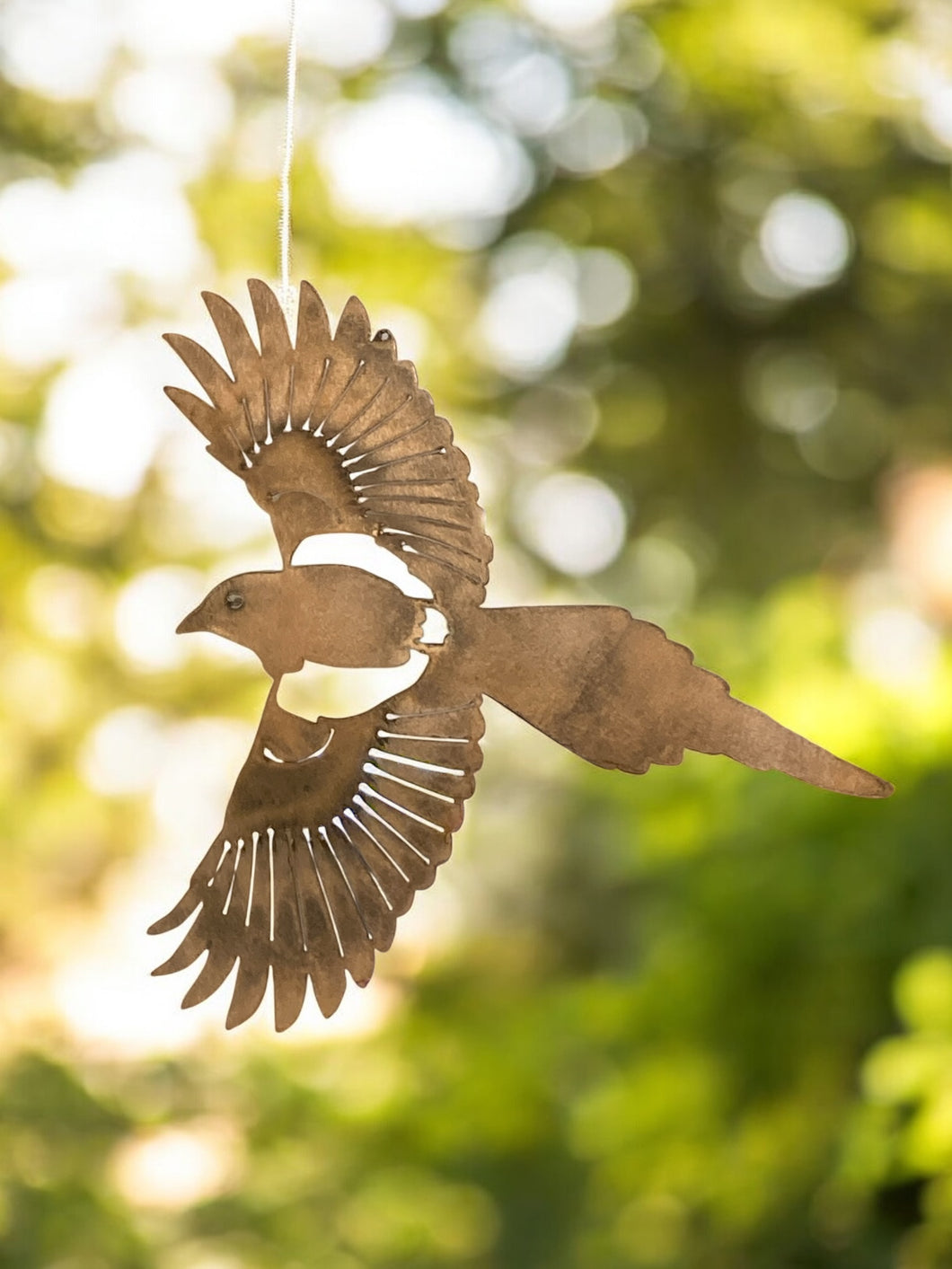 Bird hanging, Dave Larson