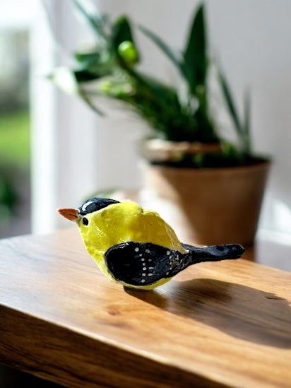 The Yellow-headed Blackbird