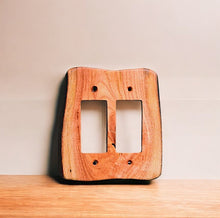 Load image into Gallery viewer, Double Dimmer Switches, Assorted Variety,  Packriver
