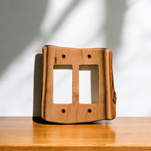 Load image into Gallery viewer, Double Dimmer Switches, Assorted Variety,  Packriver
