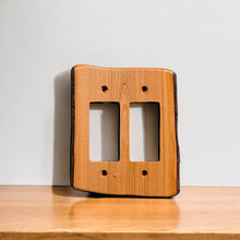 Load image into Gallery viewer, Double Dimmer Switches, Assorted Variety,  Packriver
