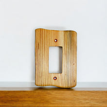 Load image into Gallery viewer, Single Dimmers, Assorted Varieties, Packriver
