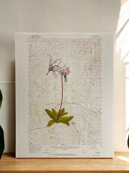 "Shooting Stars" on the Avon Topo Map by Anita Mathews
