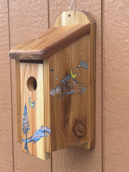 Handmade Cedar Bluebird Box, Mountain Night Sky
