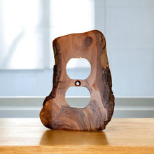 Load image into Gallery viewer, Outlet Covers Varied Dark,Packriver
