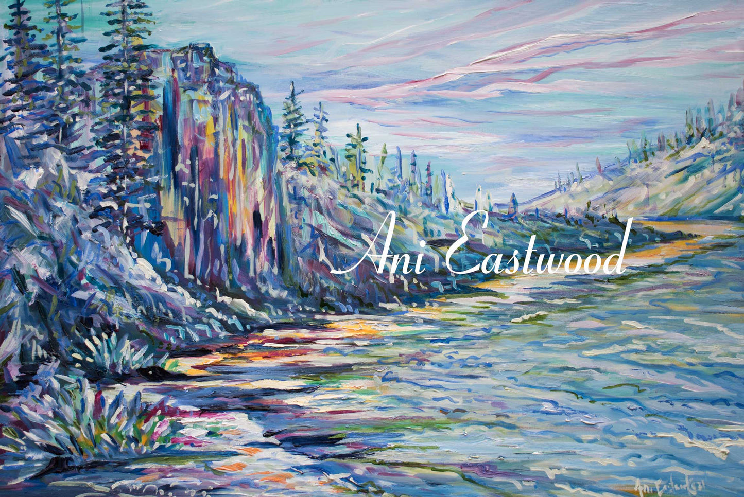 "Box Canyon" 2021 Ani Eastwood