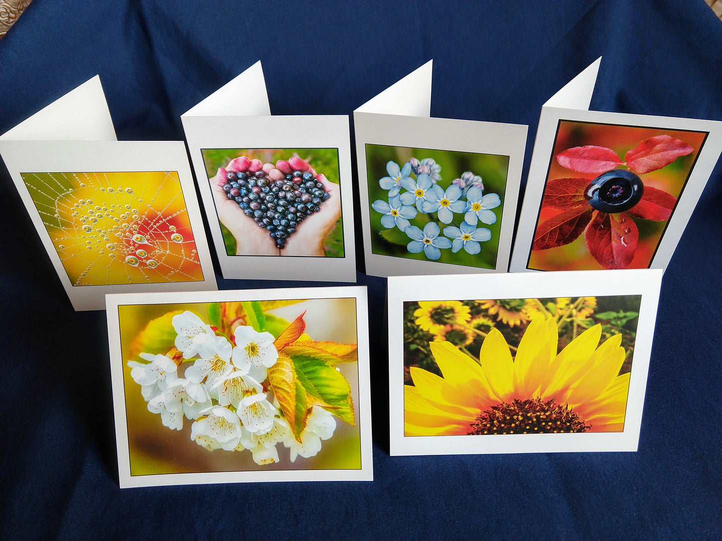Flora Card Variety 6 for $15,  John Ashley Photography