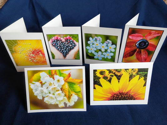 Flora Card Variety 6 for $15,  John Ashley Photography