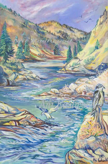 "Fishing Osprey" 2014 Ani Eastwood
