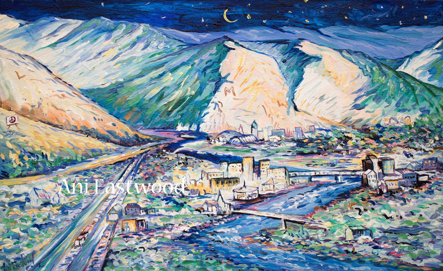 "Starry Nights Missoula, Montana"  Ani Eastwood