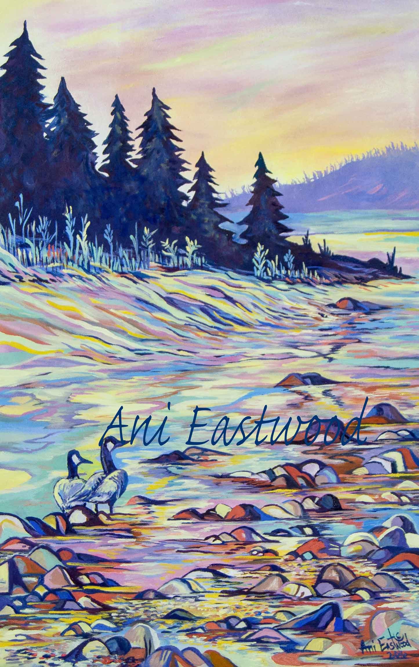 Montana Landscapes Card Assortment Pack, Ani Eastwood