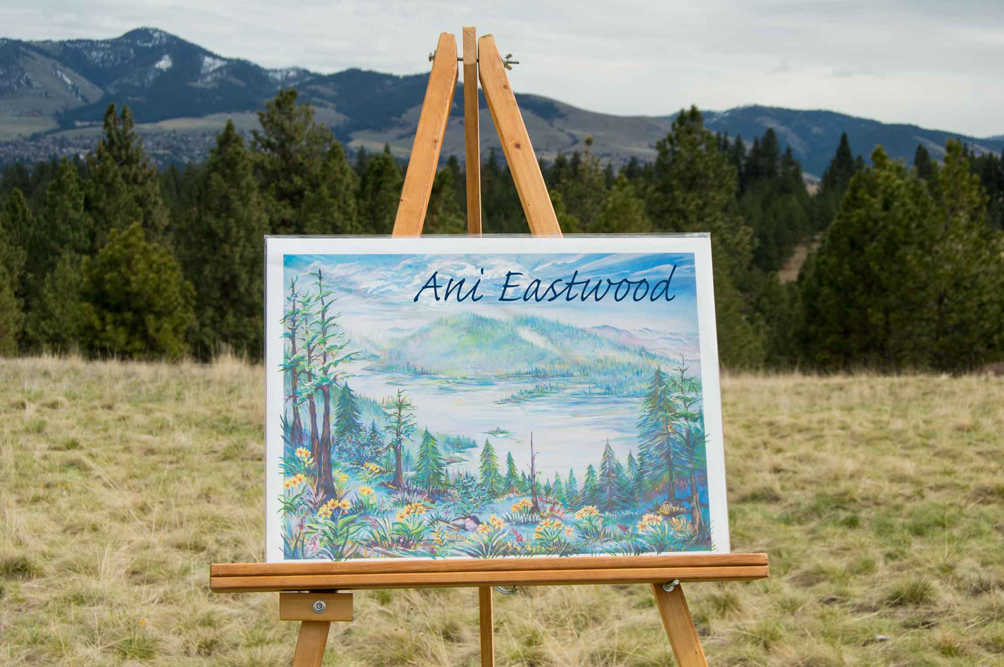 "Salmon Lake, Montana"  2017 Ani Eastwood