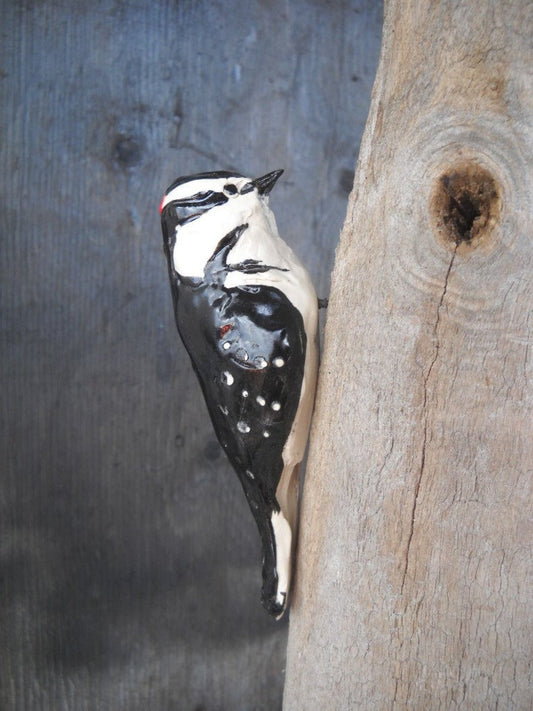The Downy Woodpecker