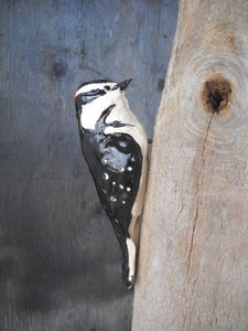 "The Downy Woodpecker" Steve Thorstenson