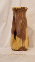Load image into Gallery viewer, Juniper Vase 17, Joseph Thompson, Woodcarving
