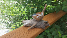 Load image into Gallery viewer, &quot;The Marsh Wren&quot; Steve Thorstenson
