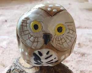 "Pygmy Owl" Steve Thorstenson