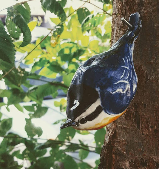 The Red Breasted Nuthatch