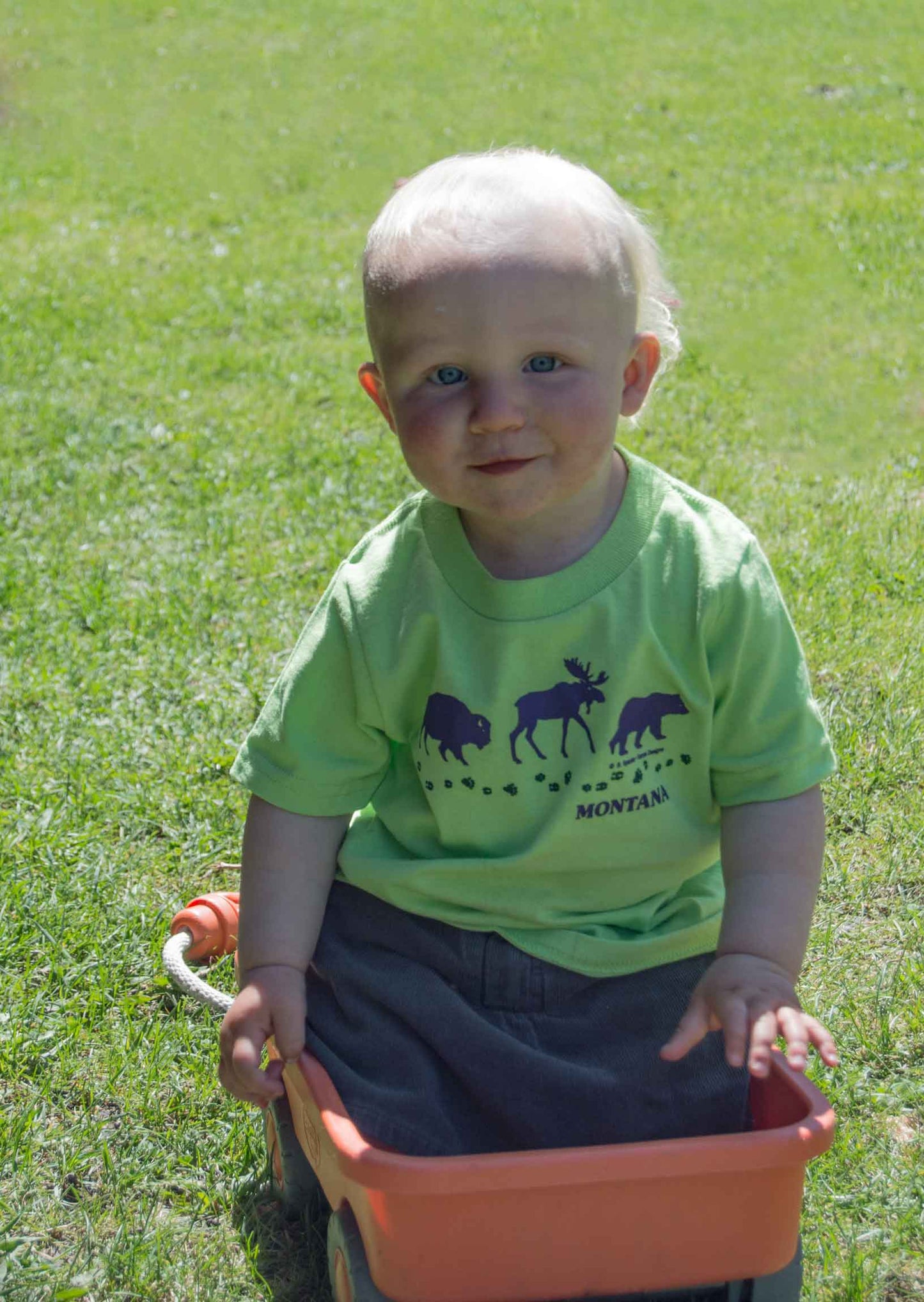 Infant and Kid's Wildlife Parade T-shirt