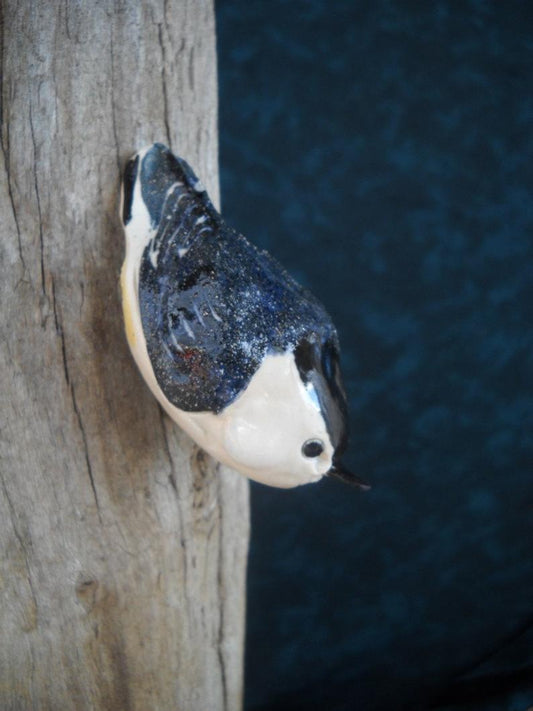 The White Breasted Nuthatch