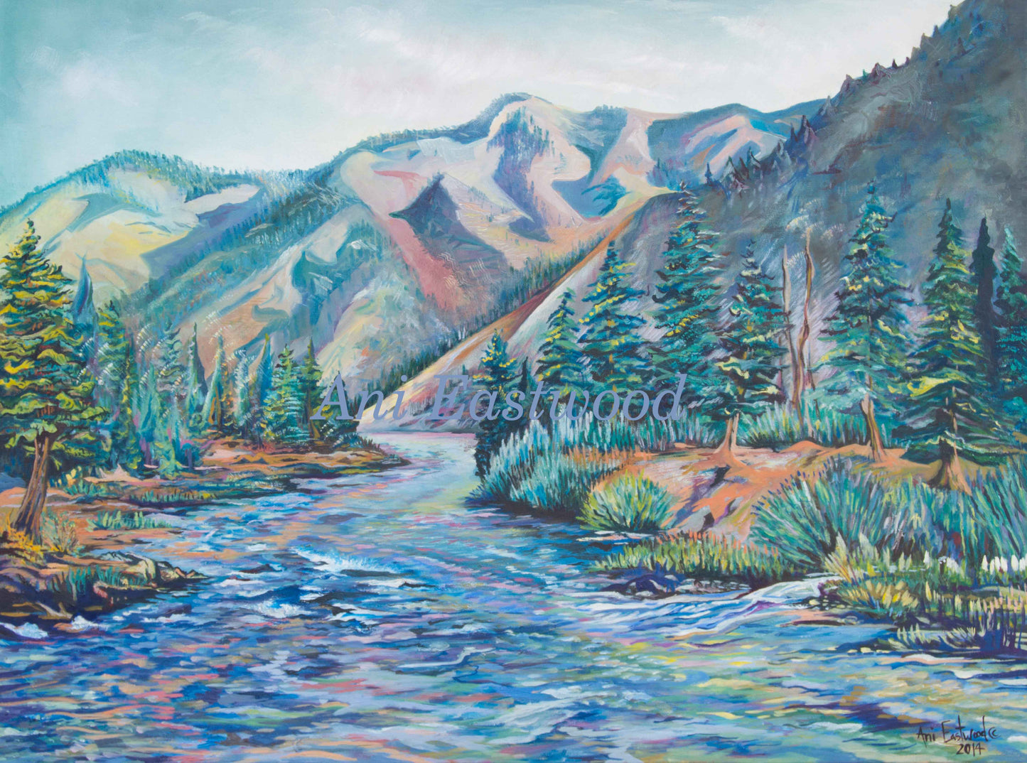 Montana Landscapes Card Assortment Pack, Ani Eastwood